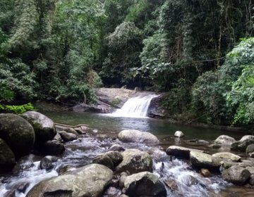Trilha Agua branca - Ilhabela