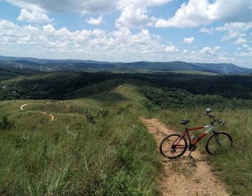 Pedal no Ovo da Pata