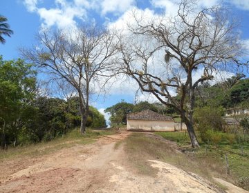 Trekking no Caminho dos Engenhos - Areia - PB