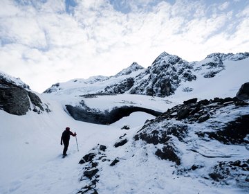 Glaciar Vinciguerra  | Laguna de Los Tempanos