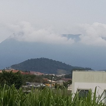 Fábio Martins