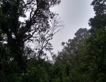 Circuito Pico Do Garrafão