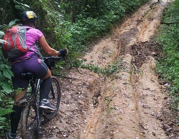 Trilha da Dama - Singles Tracks MTB
