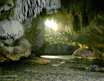Temimina - Petar - Caboclos - Serra das Arapongas