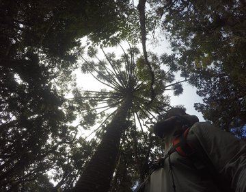 Travessia solo da Serra Negra em dois dias.