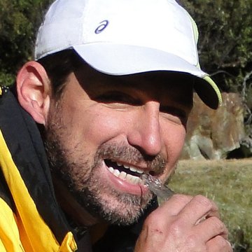 Henry Pinheiro Teixeira