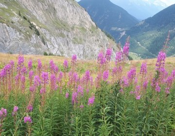 Trilhando o Tour du Mont Blanc (TMB) 2019